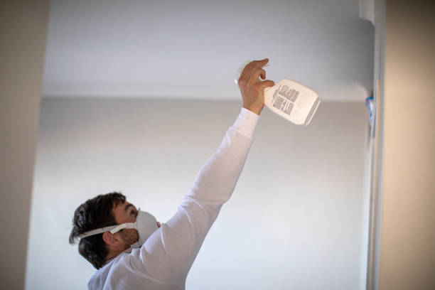 Best Mold Testing  in Burgettstown, PA