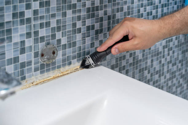 Best Toxic Mold Removal  in Burgettstown, PA